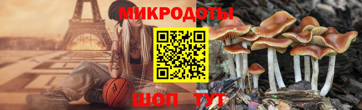 Галлюциногенные грибы мицелий  Вход с VPN  Дедовск 